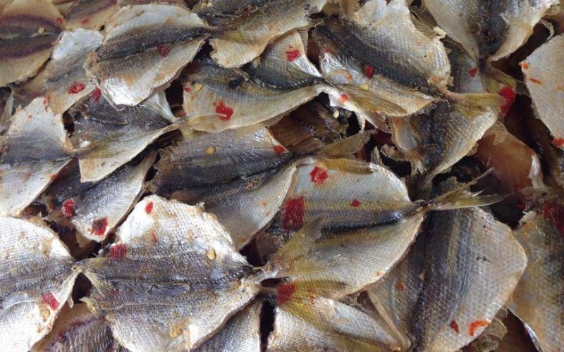 How to dry golden snapper fish in a standard, simple way at home