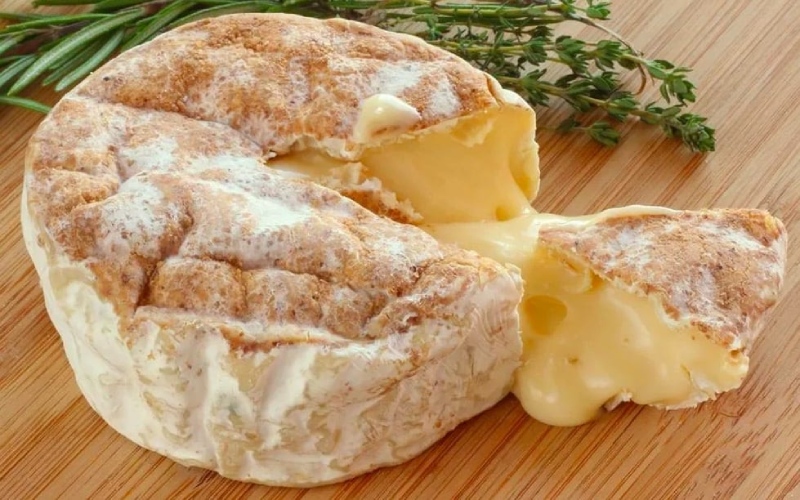 Camembert được mệnh danh là vua phô mai của Pháp