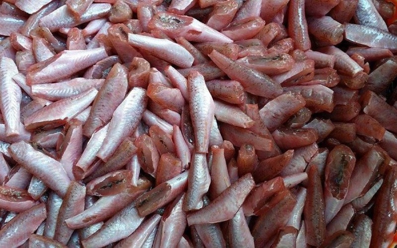 Red snapper contains a plethora of beneficial nutrients