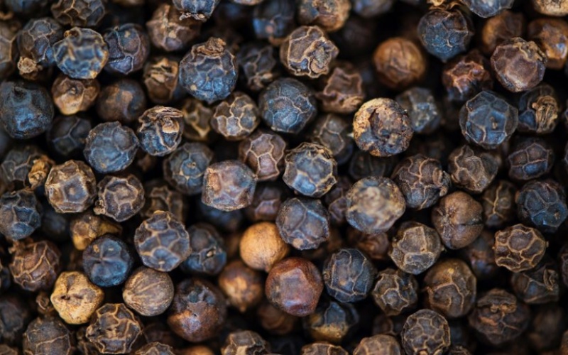 Giá tiêu thế giới Giá tiêu thế giới