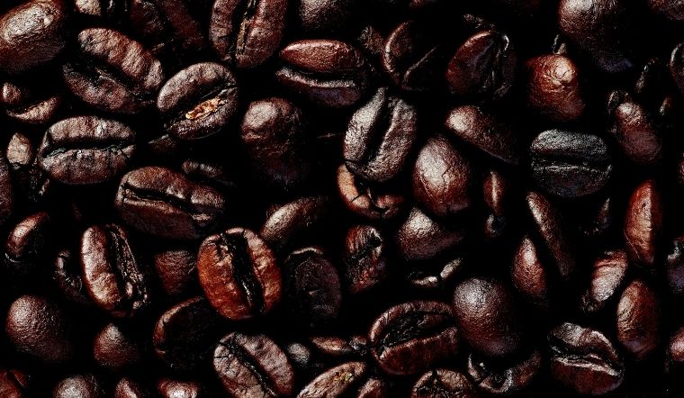 Giá cà phê hôm nay 12/5/2022: Giá cà phê hôm nay tăng 1.300đ so với hôm qua