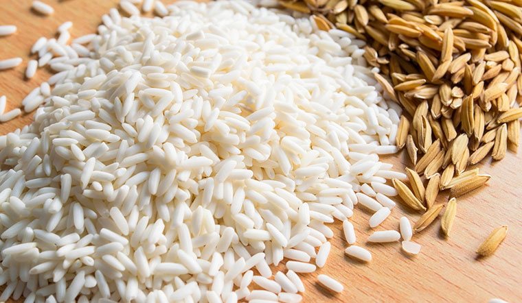 Giá lúa gạo hôm nay 12/5/2022: Tiếp tục chững giá ngày thứ 2 liên tiếp