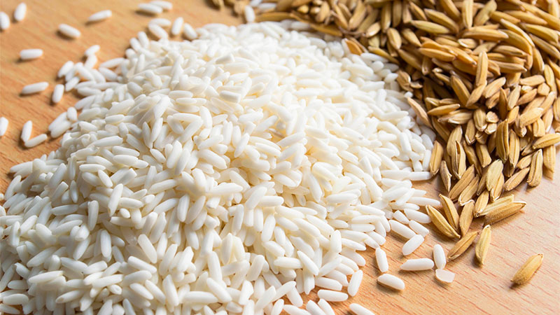 Giá gạo hôm nay 12/5