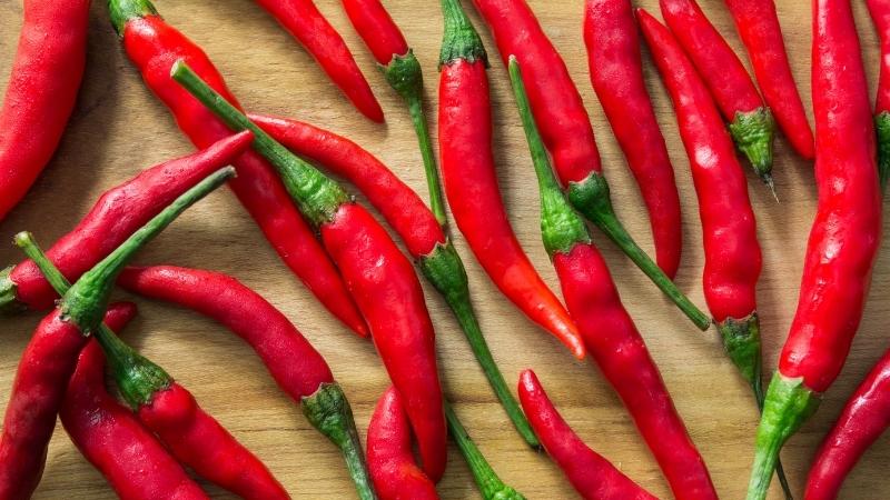 Giá ớt dao động từ 25.000 - 37.000 đồng/kg Giá ớt dao động từ 25.000 - 37.000 đồng/kg