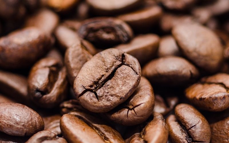 Giá cà phê trong nước hôm nay