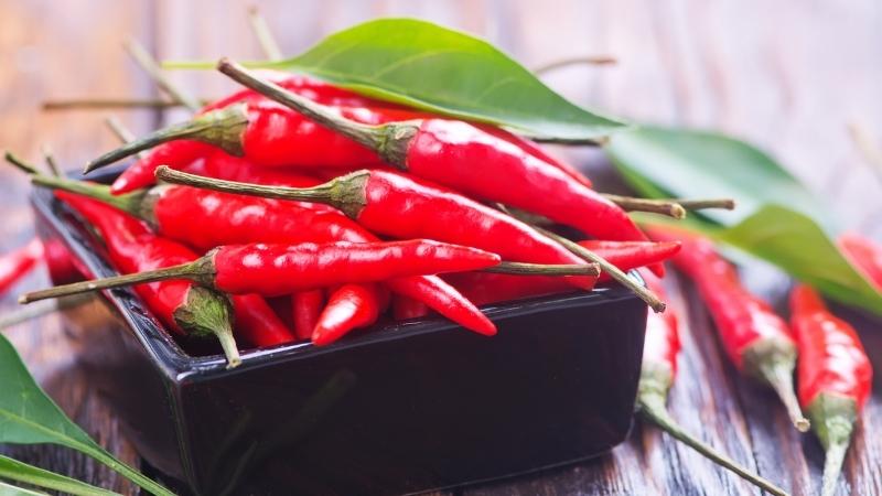 Giá ớt đang có xu hướng tăng mạnh so với hôm qua Giá ớt đang có xu hướng tăng mạnh so với hôm qua