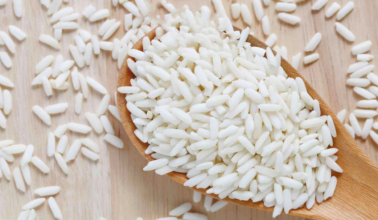 Giá lúa gạo hôm nay 14/5/2022: Ổn định trong phiên giao dịch cuối tuần