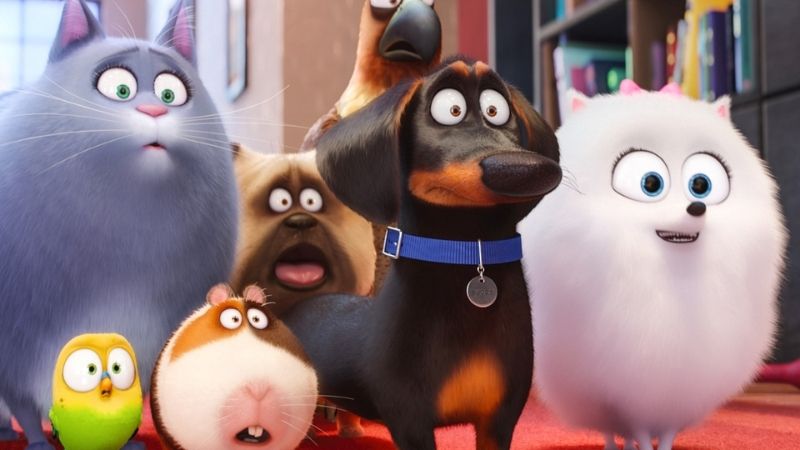 The Secret Life Of Pets xoay quanh đời sống của các chú thú cưng trong nhà