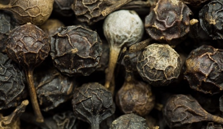 Giá tiêu hôm nay 16/5/2022: Giữ ổn định, dao động 73.000-76.000 đồng/kg