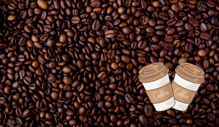 Giá cà phê hôm nay 16/5/2022: Giá cà phê tăng nhẹ, cao nhất 40.900đ/kg