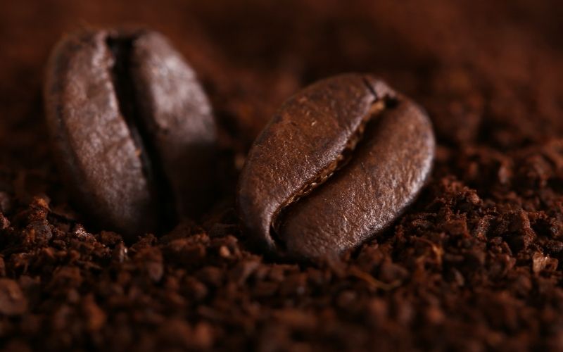 Giá cà phê trong nước hôm nay