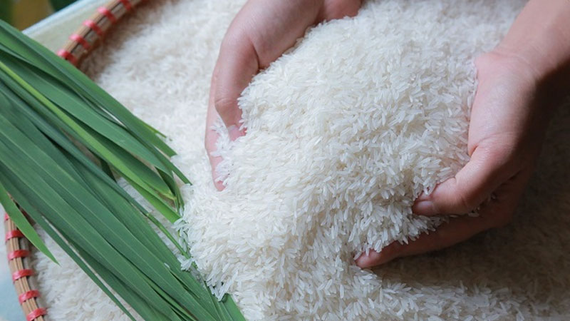 Giá gạo hôm nay 16/5