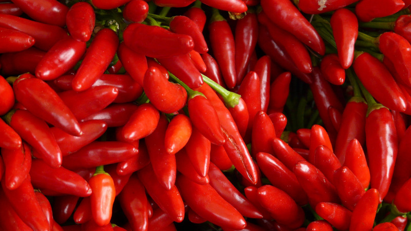 Giá ớt dao động từ 30.000 - 43.000 đồng/kg Giá ớt dao động từ 30.000 - 43.000 đồng/kg