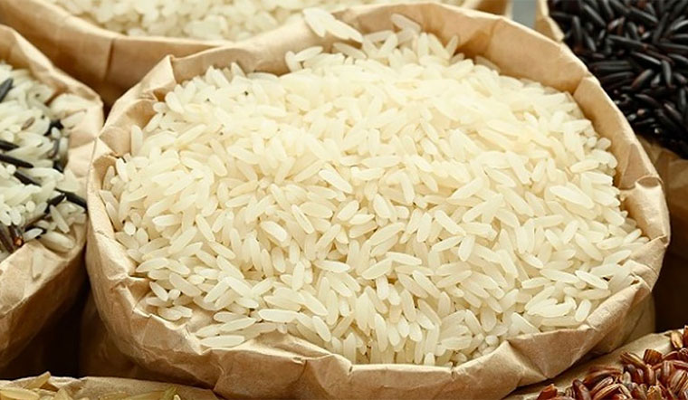 Giá lúa gạo hôm nay 18/5/2022: Tiếp tục ổn định ở nhiều giống lúa gạo