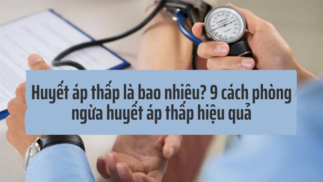 Huyết áp thấp là bao nhiêu? 9 cách phòng ngừa huyết áp thấp hiệu quả