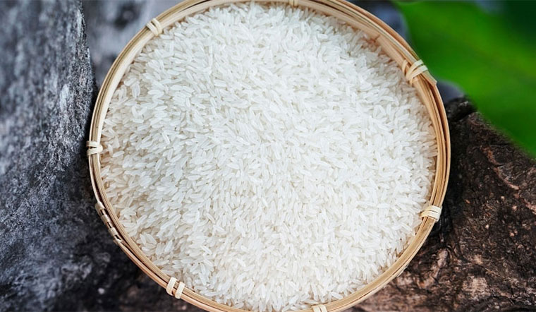 Giá lúa gạo hôm nay 19/5/2022: Lúa Đài thơm 8 tăng 100 đồng/kg