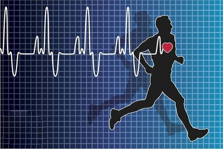 Máy chạy bộ trên không là gì? 5 tác dụng máy chạy bộ trên không > Nâng cao sức khỏe tim mạch