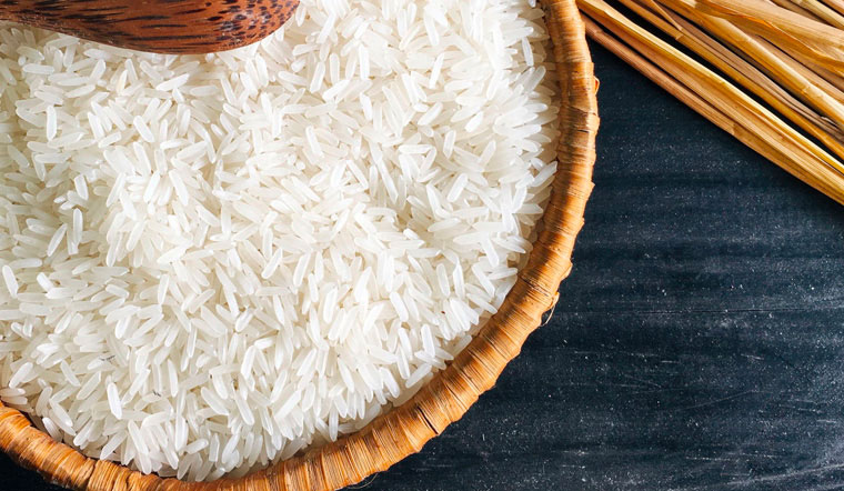 Giá lúa gạo hôm nay 21/5/2022: Tiếp tục duy trì ổn định không thay đổi