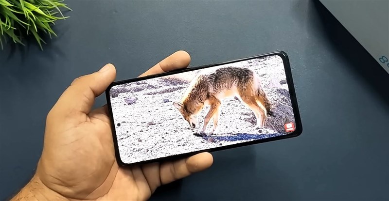 OPPO Reno9 Pro+ có gì mới: Màn hình AMOLED, sạc nhanh 80 W OPPO Reno9 Pro+ có gì mới: Màn hình AMOLED, sạc nhanh 80 W