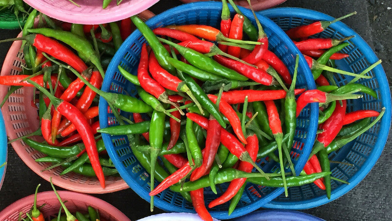 Giá ớt dao động từ 20.000 - 30.000 đồng/kg Giá ớt dao động từ 20.000 - 30.000 đồng/kg