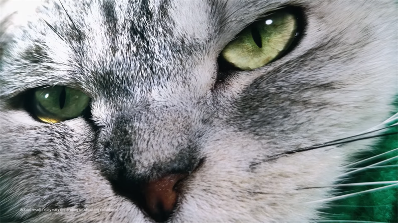 Can canh tam anh meo duoc chup bang cam bien ISOCELL HP1