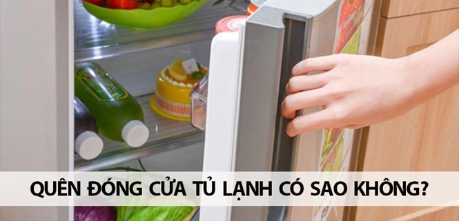 Quên đóng cửa tủ lạnh có sao không? Tác hại khi quên đóng cửa tủ lạnh
