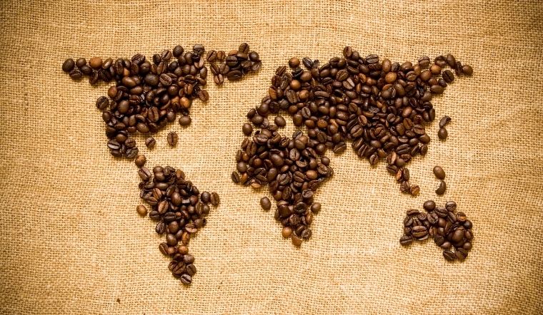 Giá cà phê hôm nay 28/5/2022: Giá cà phê trong nước giảm 200đ/kg