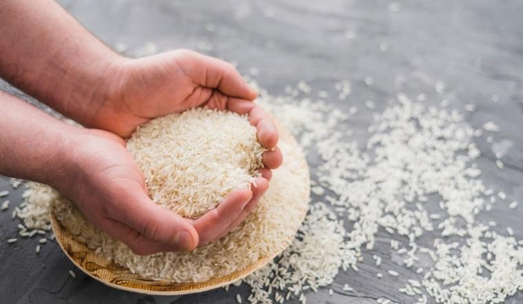 Giá lúa gạo hôm nay 31/5/2022: Một vài giống lúa tăng nhẹ 100 đồng/kg