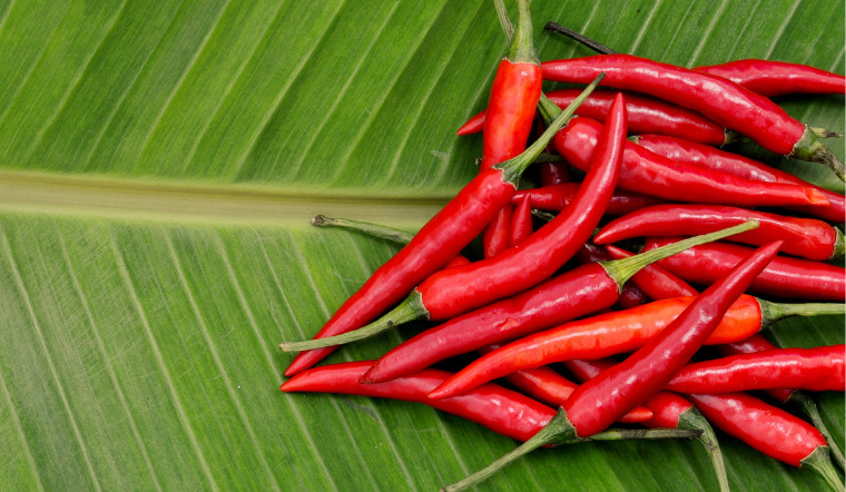 Giá ớt hôm nay 31/05/2022: Giá ớt chững giá, không tăng không giảm