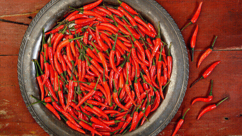 Giá ớt chênh lệch do nhiều yếu tố Giá ớt chênh lệch do nhiều yếu tố