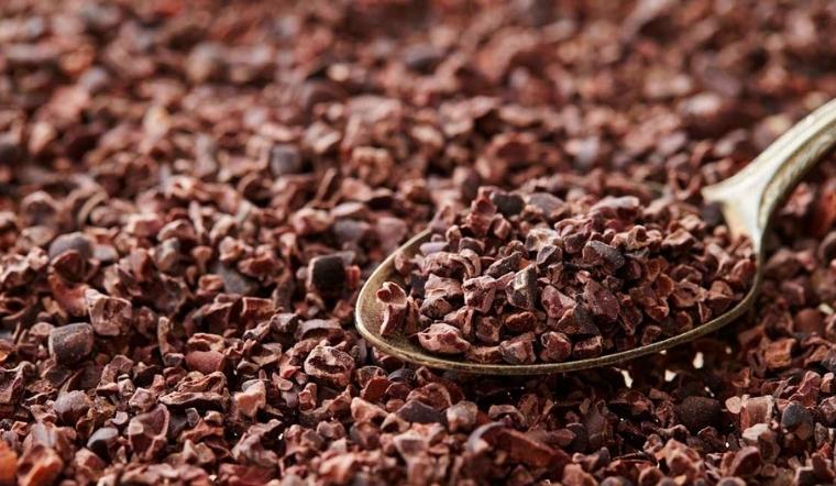 Cacao nibs (cacao ngòi) là gì? Có lợi ích gì đối với sức khỏe?