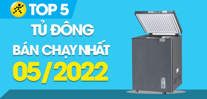 Top 5 tủ đông bán chạy nhất tháng 05/2022 tại Điện máy XANH
