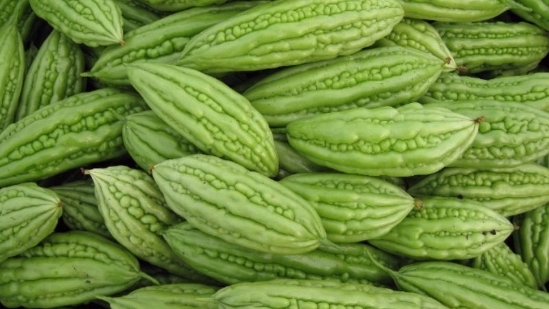 Benefits of bitter melon for health
