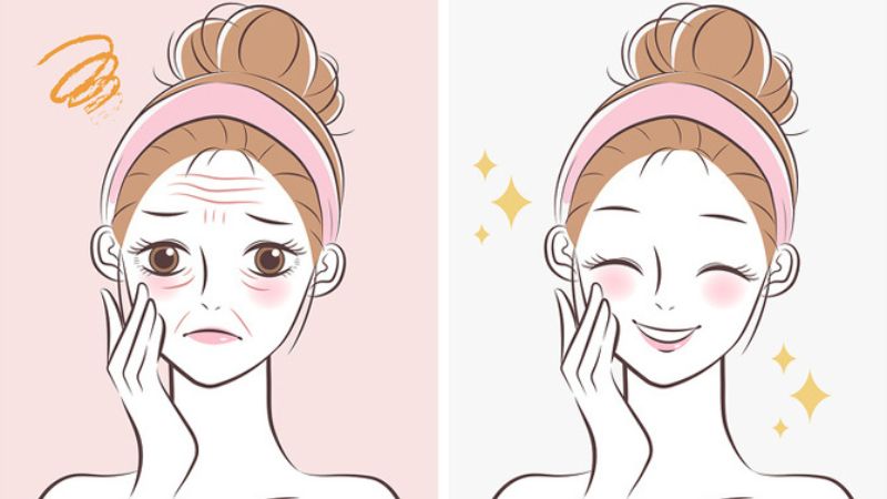 Quả táo gai giúp ngăn ngừa lão hóa da sớm do sự suy giảm collagen do tiếp xúc với ánh nắng mặt trời hoặc tia cực tím quá nhiều.