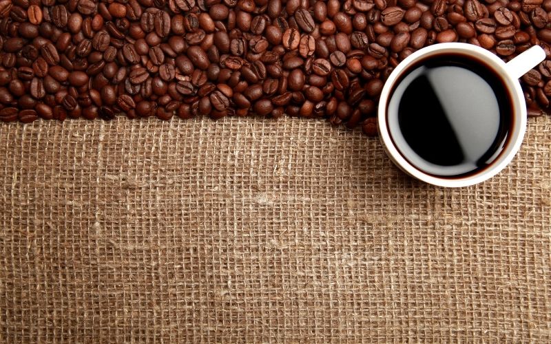 Giá cà phê trong nước hôm nay