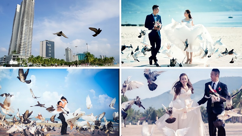 Công viên Biển Đông - Địa điểm chụp ảnh cưới đẹp tại Đà Nẵng