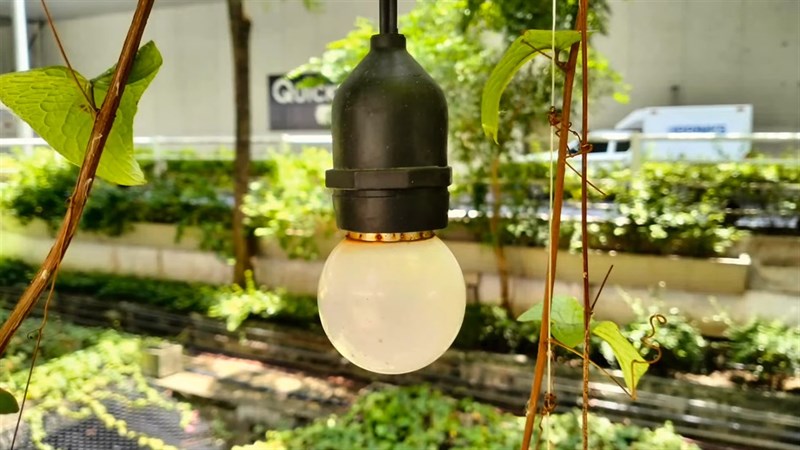 Ảnh chụp từ camera OPPO A77 5G