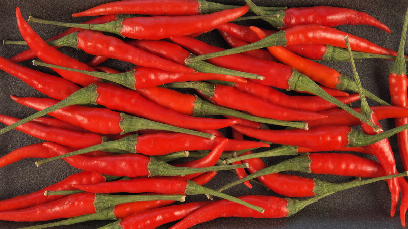 Giá ớt dao động từ 42.000 - 60.000 đồng/kg Giá ớt dao động từ 42.000 - 60.000 đồng/kg