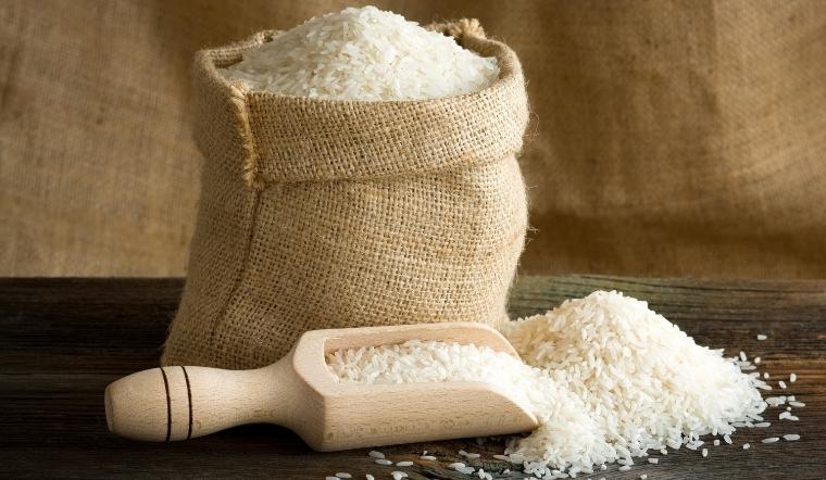 Giá lúa gạo hôm nay 6/6/2022: Lúa IR 50404 tăng 100 đồng/kg