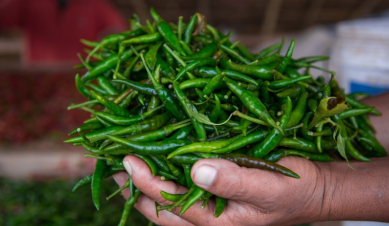 Giá ớt hôm nay 06/06/2022: Giá không có dấu hiệu giảm, cao nhất 58.000 đồng/kg