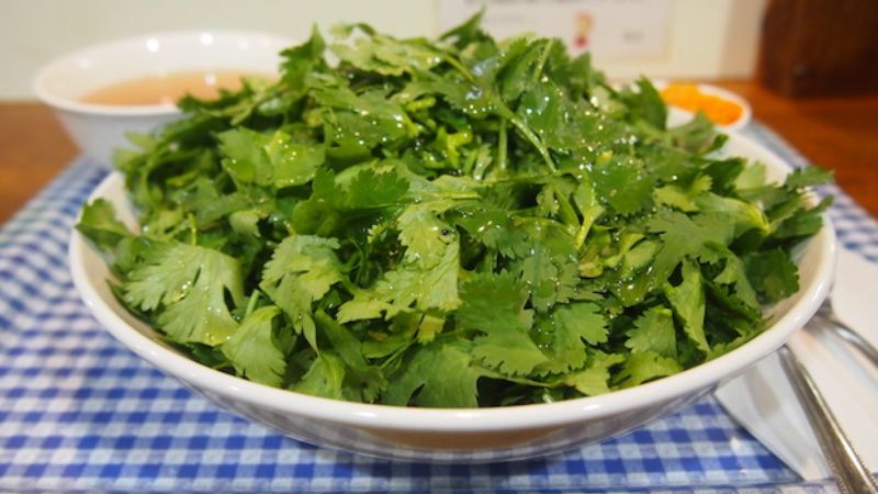 Preserving cilantro by freezing
