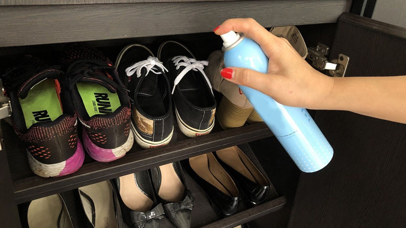 Deodorize shoe cabinet