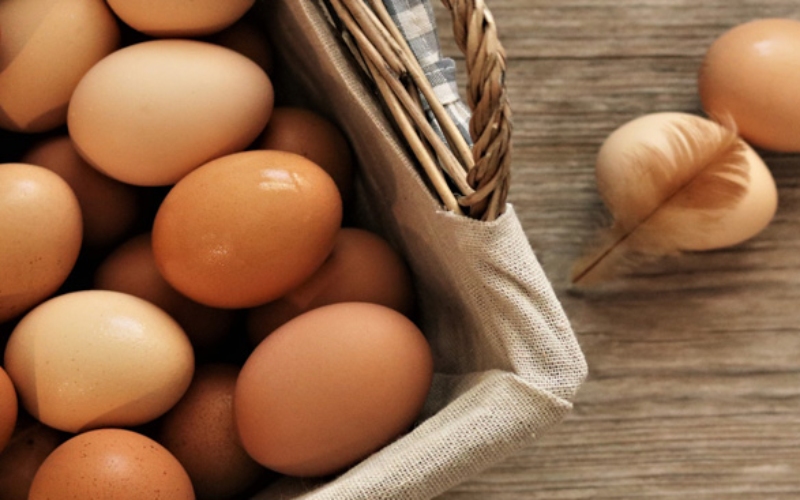 Giá trứng gà hôm nay 09/06 Giá trứng gà hôm nay 09/06