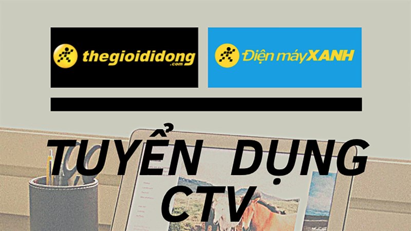 Cập nhật tin tuyển dụng thường xuyên tại Thế Giới Di Động để tìm ra công việc phù hợp với bản thân.