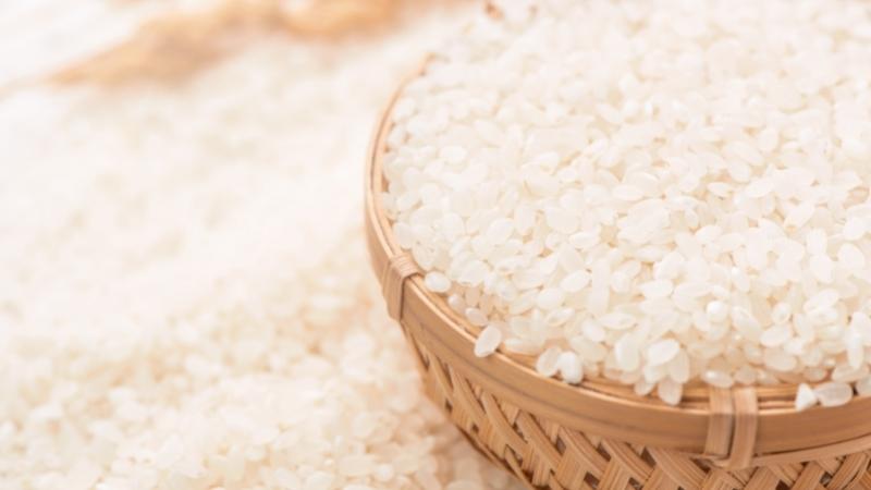 Giá gạo hôm nay 11/6 Giá gạo hôm nay 11/6