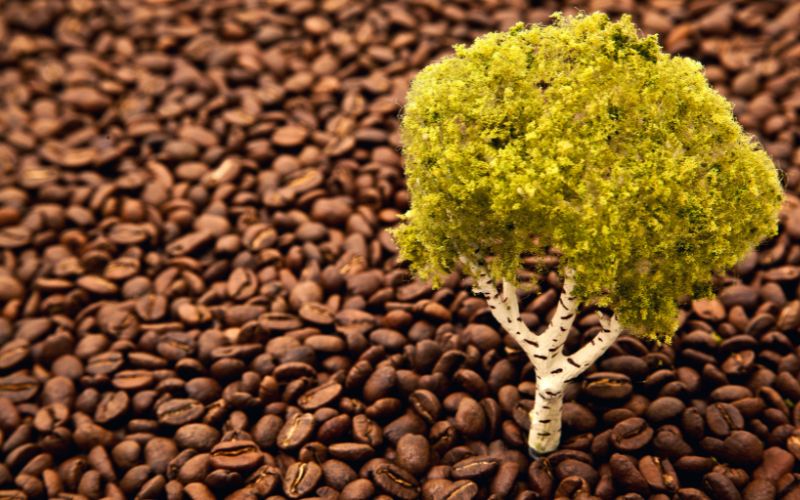 Giá cà phê Robusta giao dịch tại London