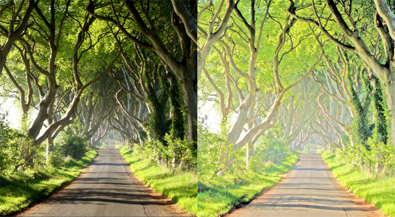 Kết quả Kết quả