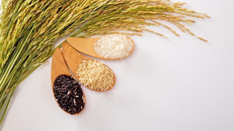  Giá lúa hôm nay 13/6