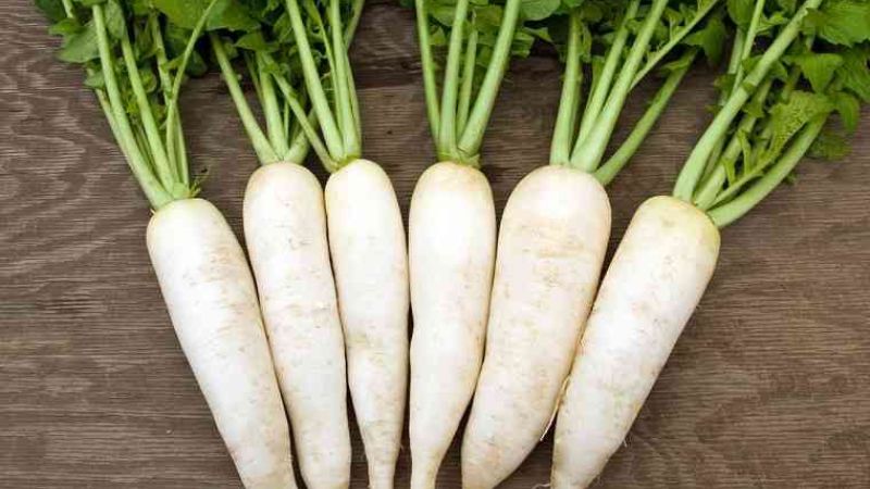 White radish is rich in nutrients