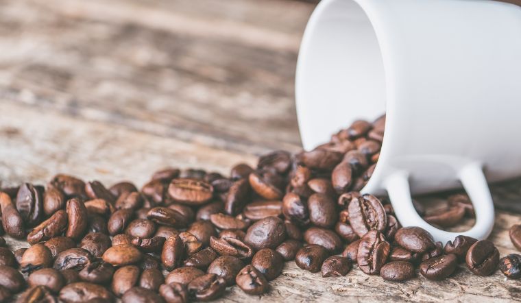 Giá cà phê hôm nay 14/6/2022: Giá cà phê bất ngờ giảm 600đ/kg